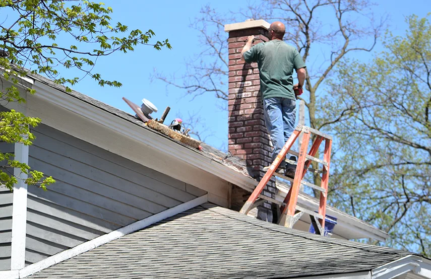 Chimney & Fireplace Inspections Services in San Lorenzo, CA